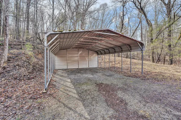 a view of a dry yard with green space