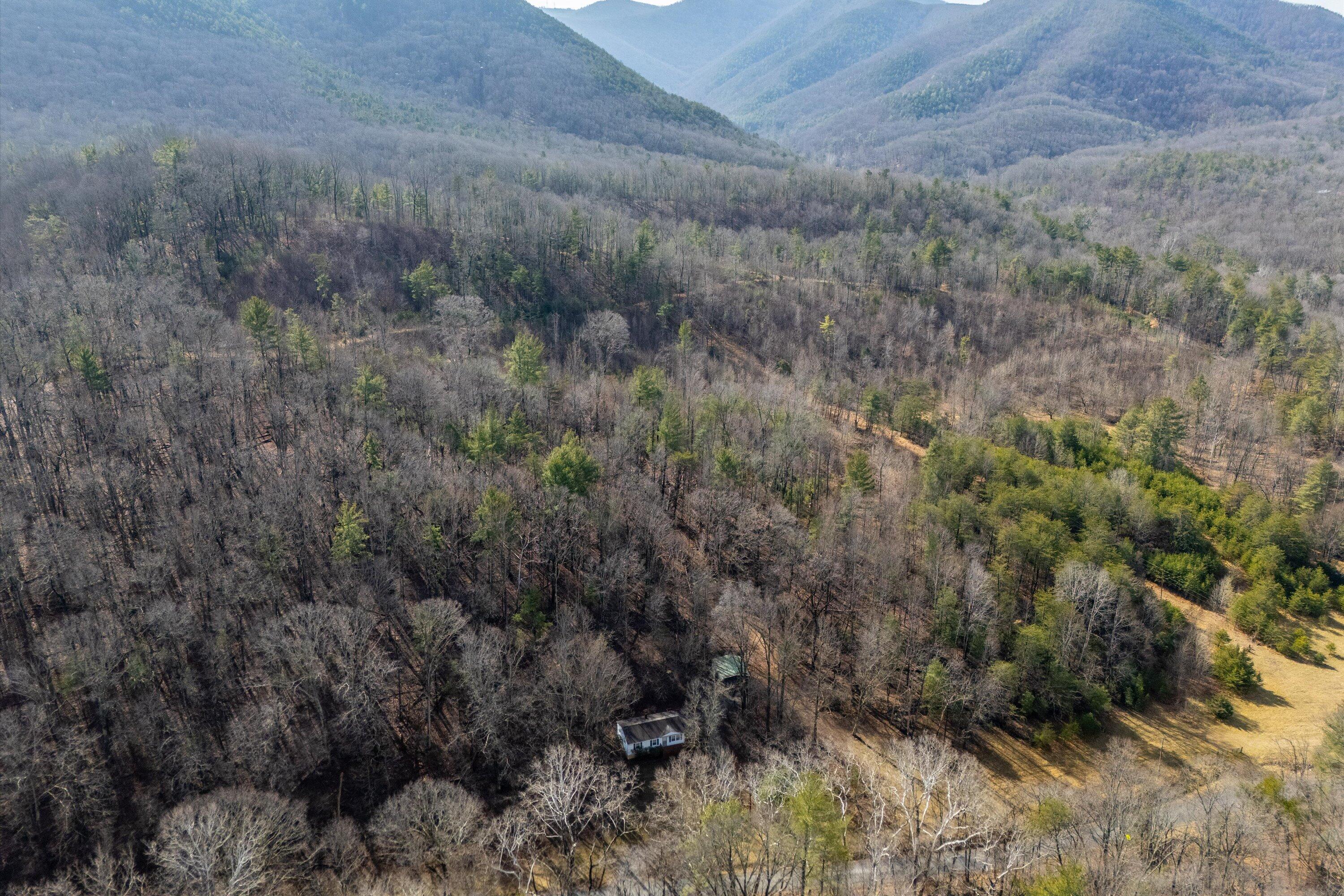 4312 Harborwood Road Salem, VA 24153 - Photo 30 of 32 a view of a dry yard with green space