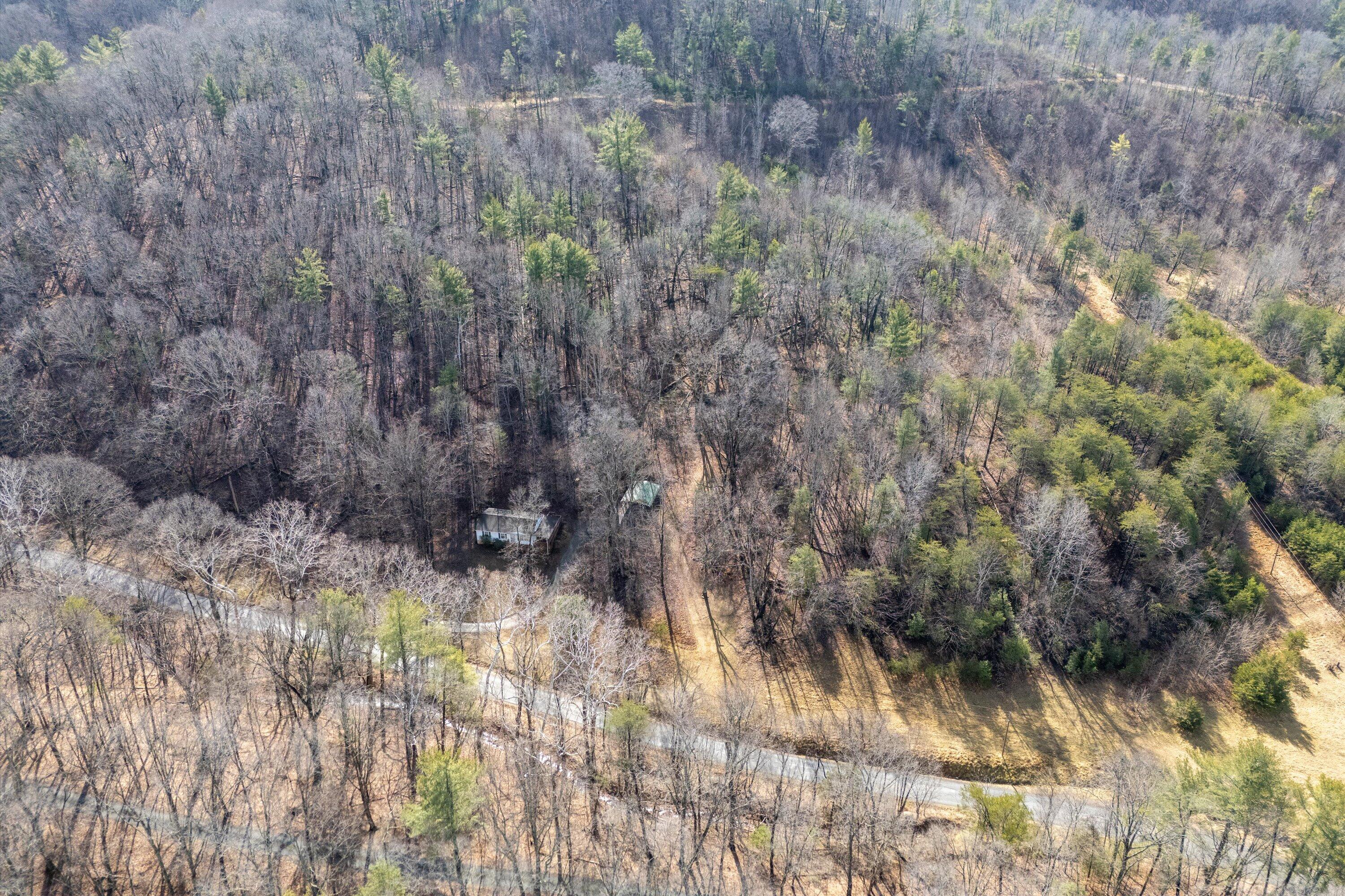 4312 Harborwood Road Salem, VA 24153 - Photo 31 of 32 a view of a yard