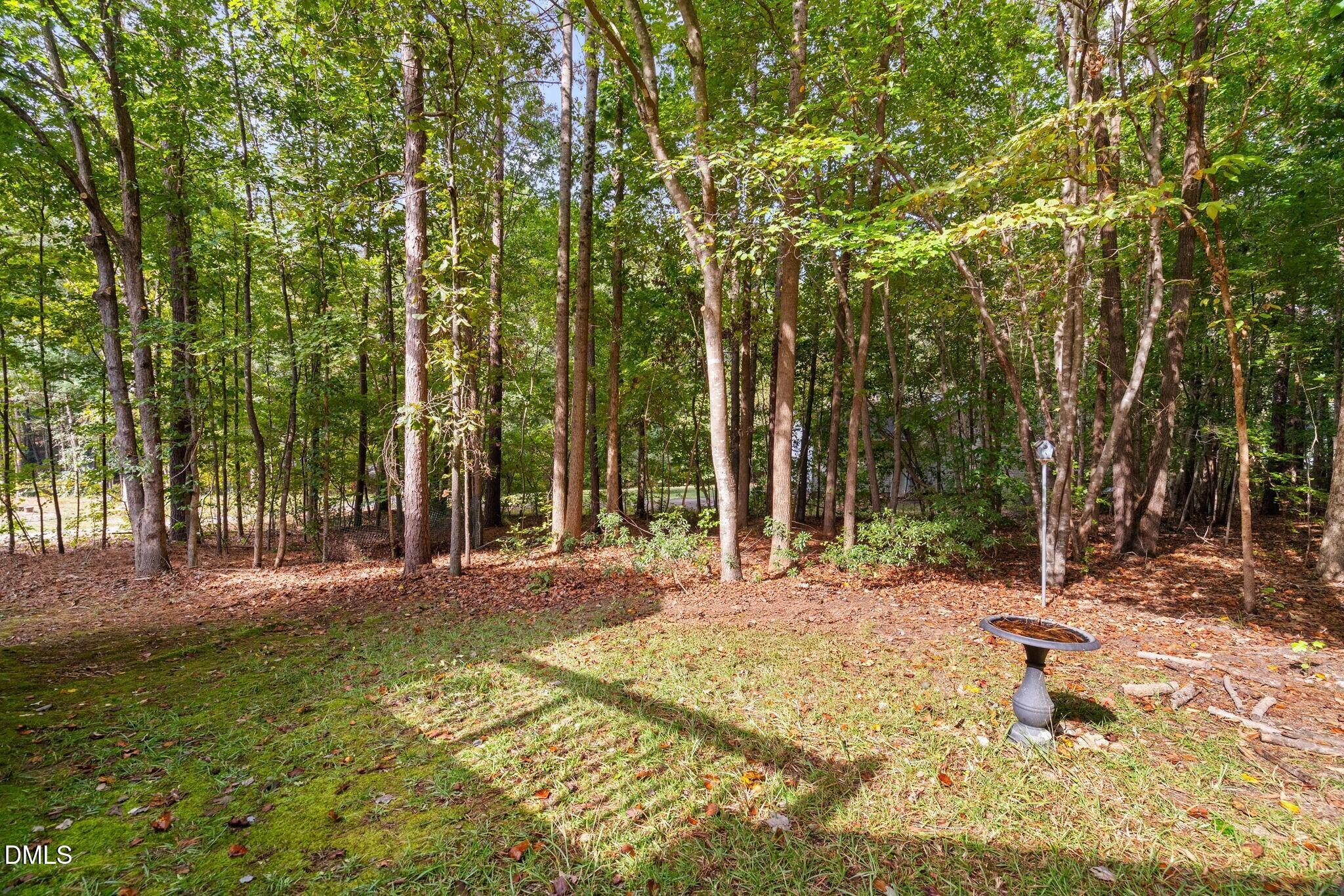 106 Silkgrass Way Clayton, NC 27527 - Photo 23 of 25 023_14webormls106silkgrassway