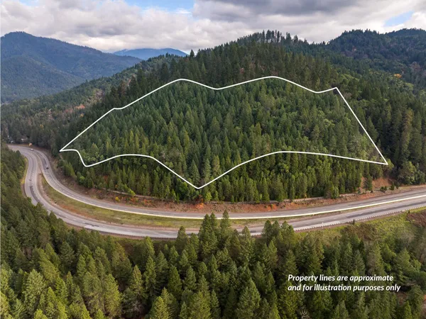 $155,000 | 0 Sunny Valley Loop, Wolf Creek, OR 97497