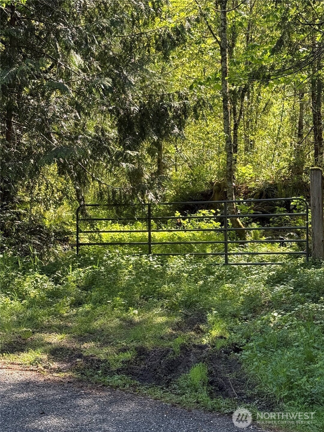 0 Alger CCC Road Sedro-Woolley, WA 98284 - Photo 1 of 11 Gallery Image 1