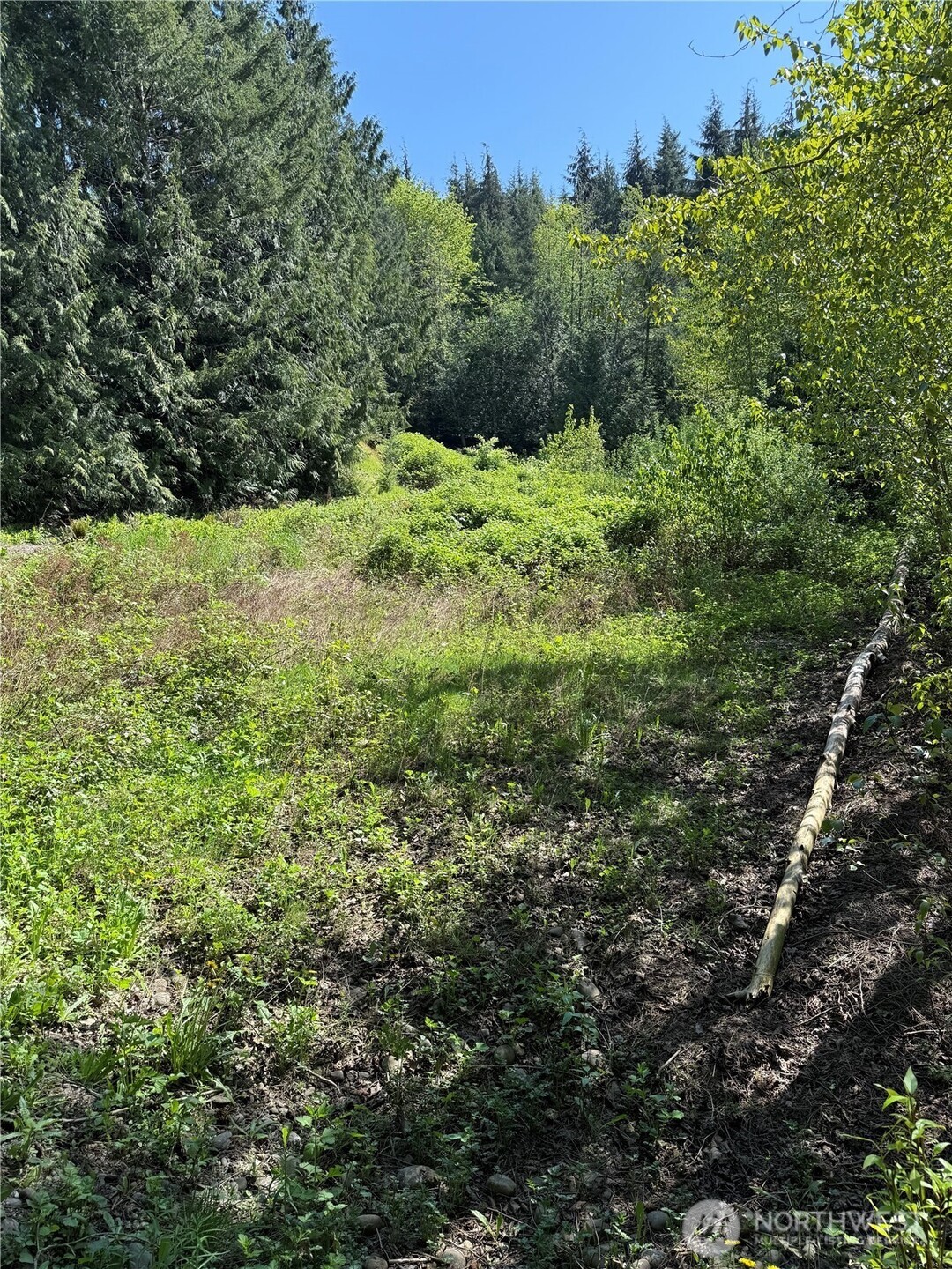 0 Alger CCC Road Sedro-Woolley, WA 98284 - Photo 8 of 11 Gallery Image 8