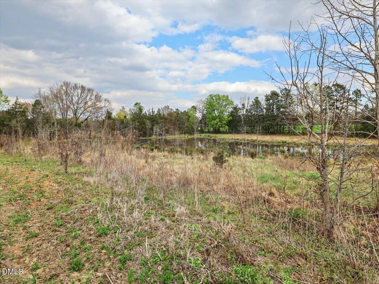 7793 Ridgeville Road Leasburg, NC 27291 - Photo 68 of 91