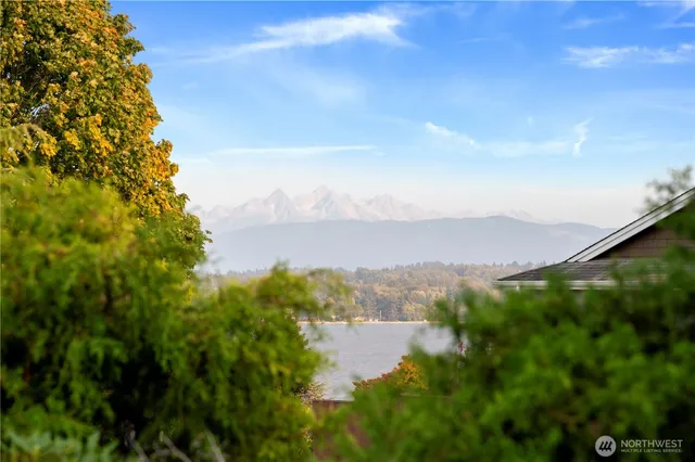 a house view with a backyard space