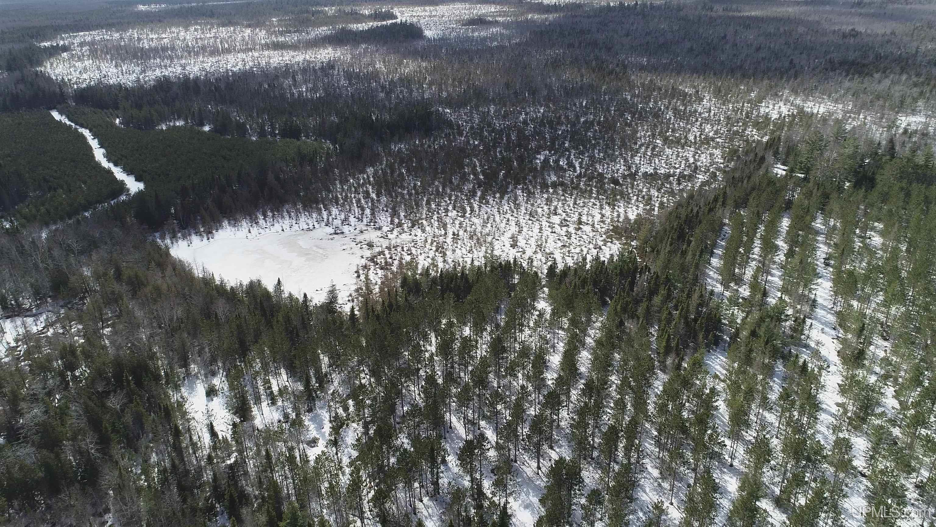 20-acres Off Flodin Road Manistique, MI 49854 - Photo 21 of 29