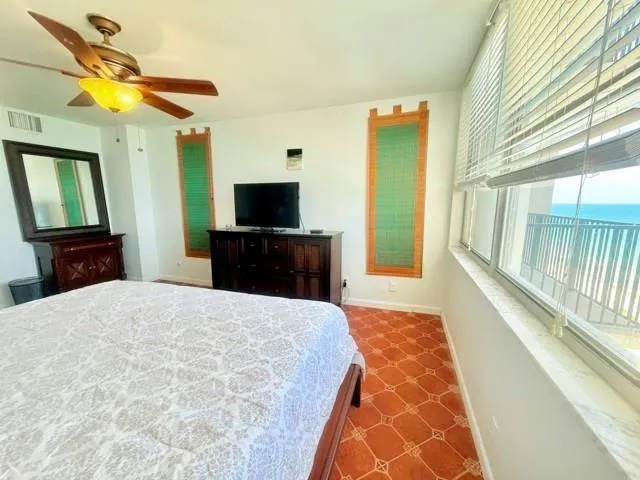 a view of a yard from a window