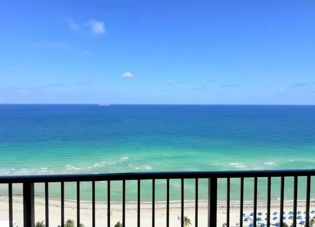 a room with furniture and a potted plant