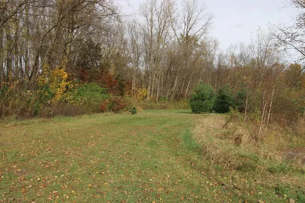 a view of a yard with an trees