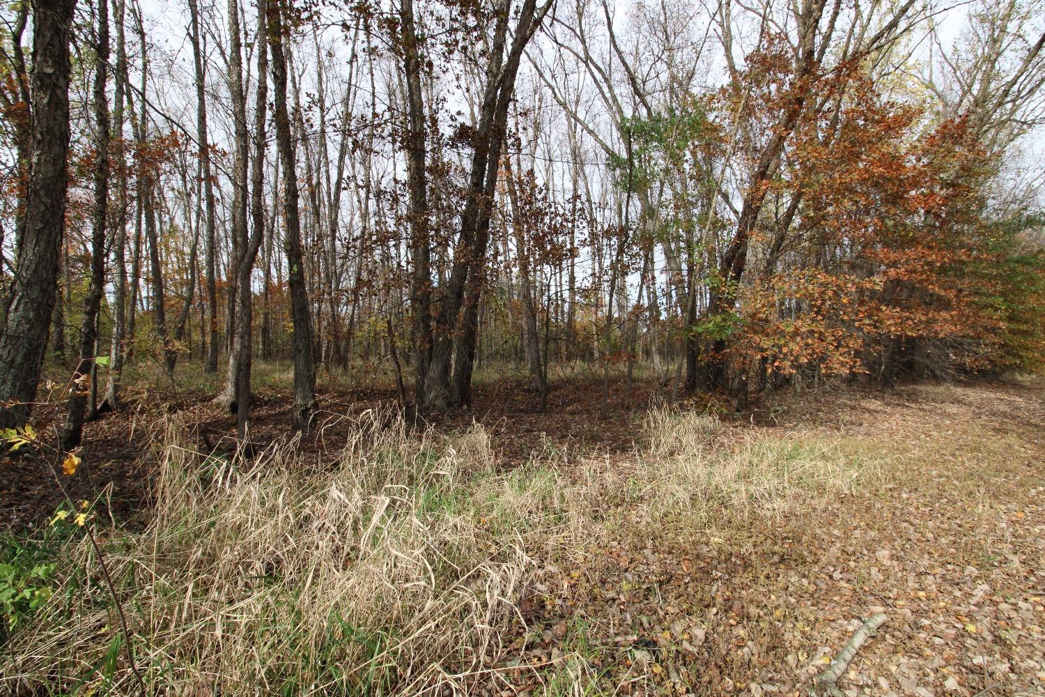 5742 South 350 East Knox, IN 46534 - Photo 20 of 32 a view of backyard with green space