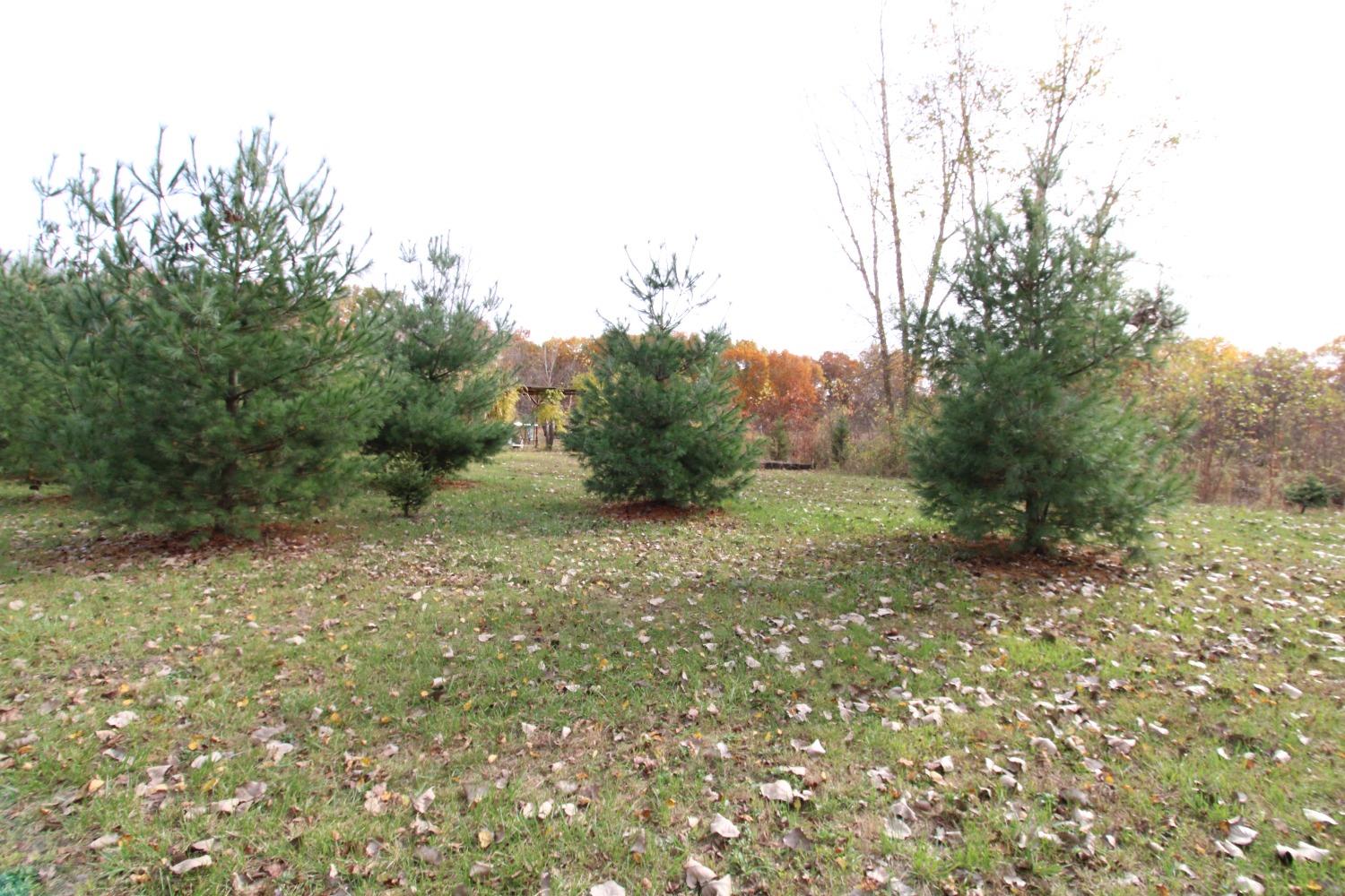 5742 South 350 East Knox, IN 46534 - Photo 22 of 32 a big yard with lots of green space and house