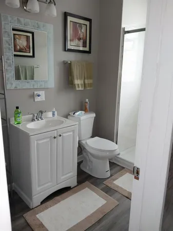 a bathroom with a toilet sink and mirror