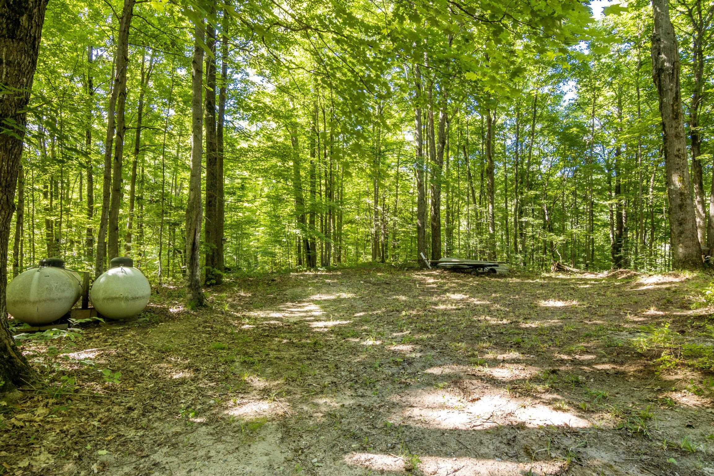 5020 Satterly Lake Road Mancelona, MI 49659 - Photo 38 of 61