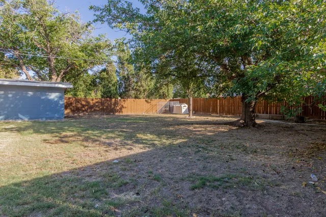 a view of a yard with tree s