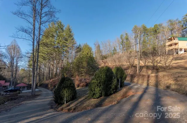 a view of a yard with plants and trees
