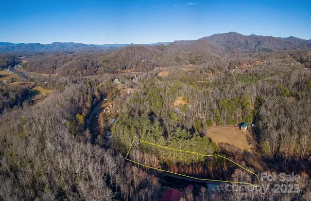 a view of a forest with a mountain