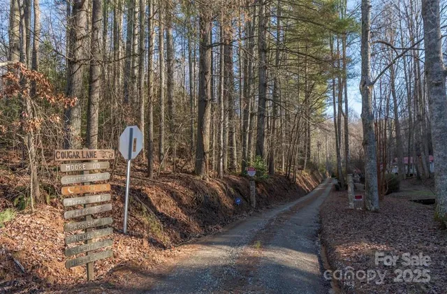a backyard of a house with barbeque oven a tree