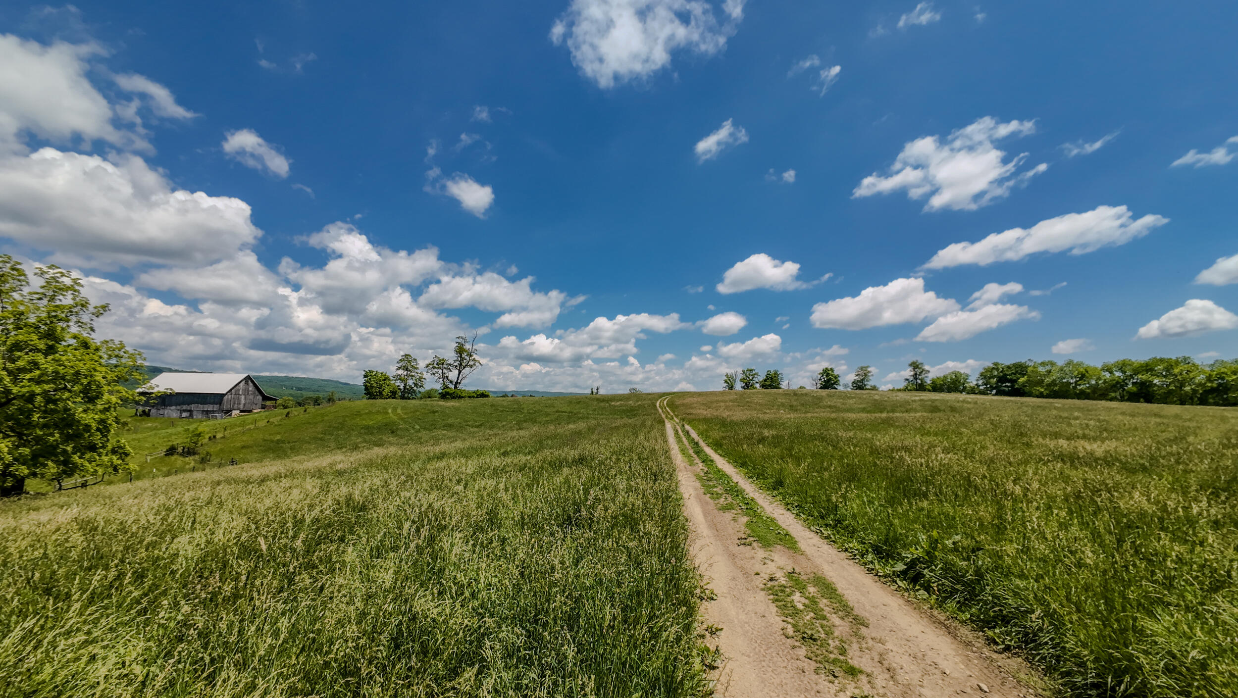 1801 Toms Creek Road Blacksburg, VA 24060 - Photo 22 of 32 1801 Toms Creek-1066_1801 Toms Creek Rd