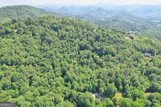 a view of a large yard with lots of green space