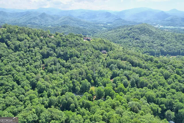 a view of a lush green forest with a house in a background