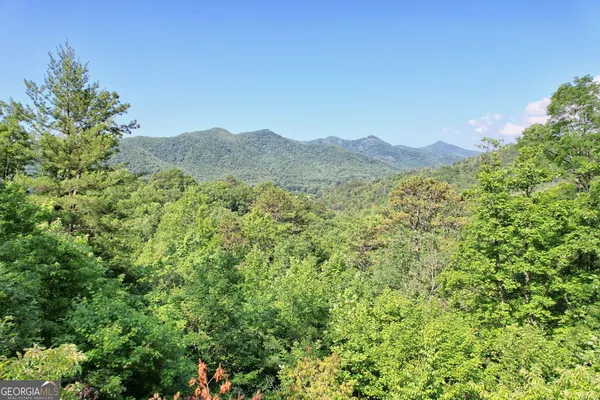 a view of a forest with a mountain in the background
