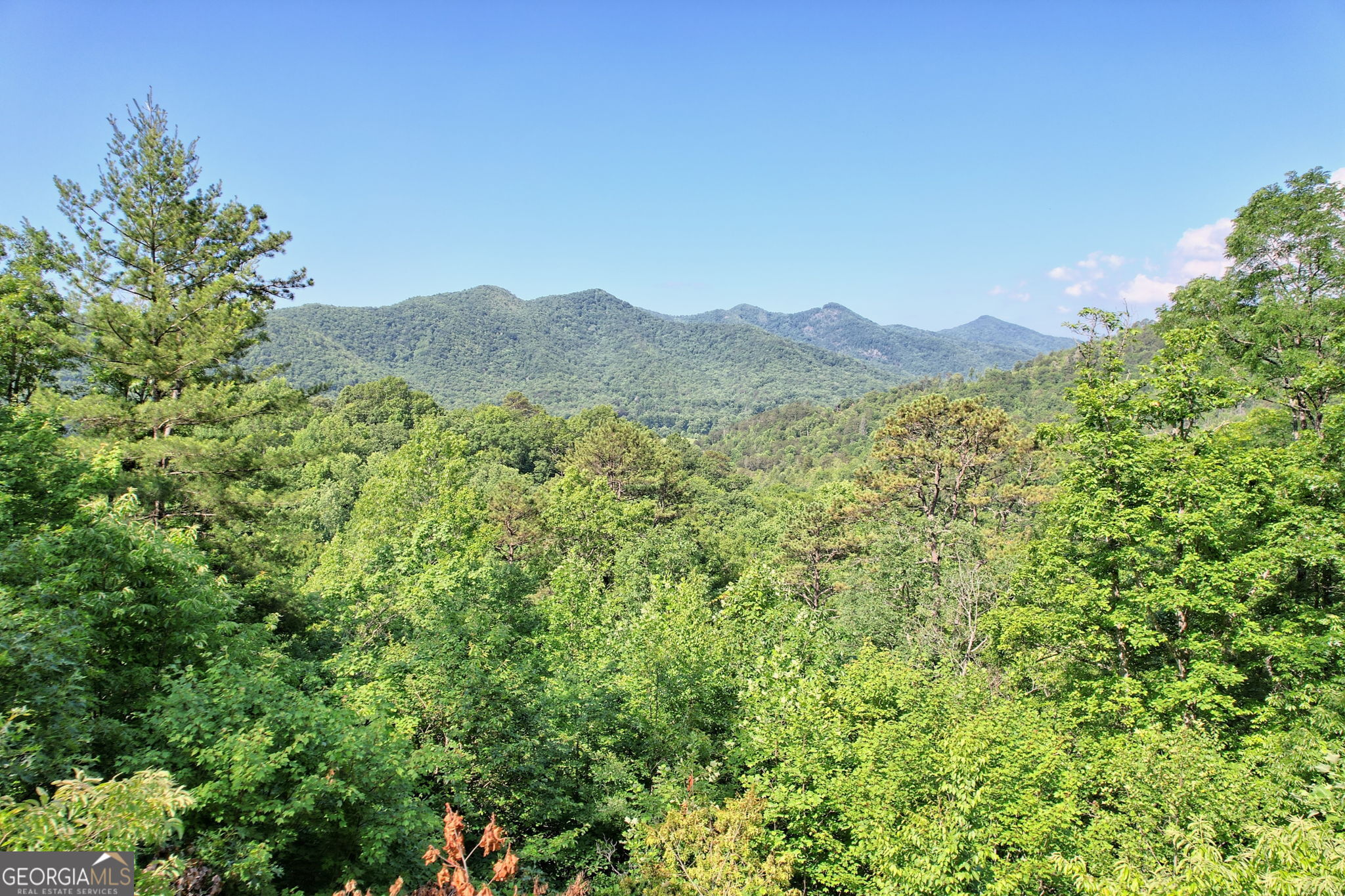 0 Raven Frk Trail Dillard, GA 30537 - Photo 2 of 13 a view of a forest with a mountain in the background
