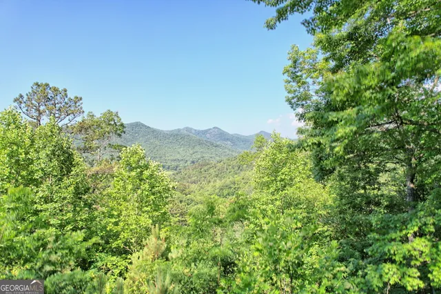 a view of a lush green forest with trees in the background