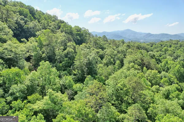 a view of a lush green forest with houses
