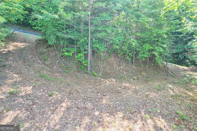 a view of a yard with a tree