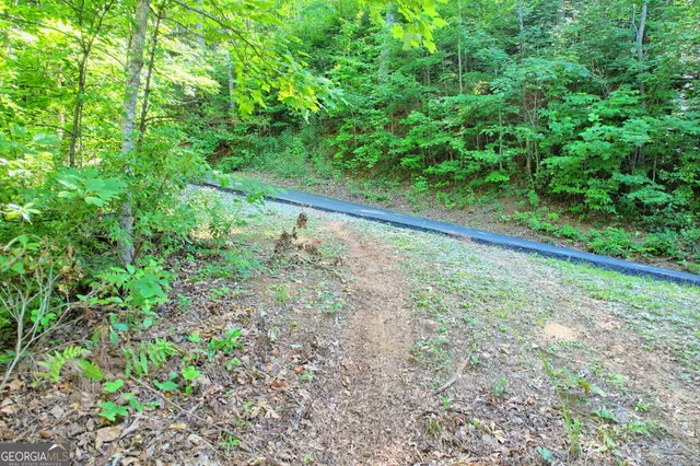 a view of a yard with a tree