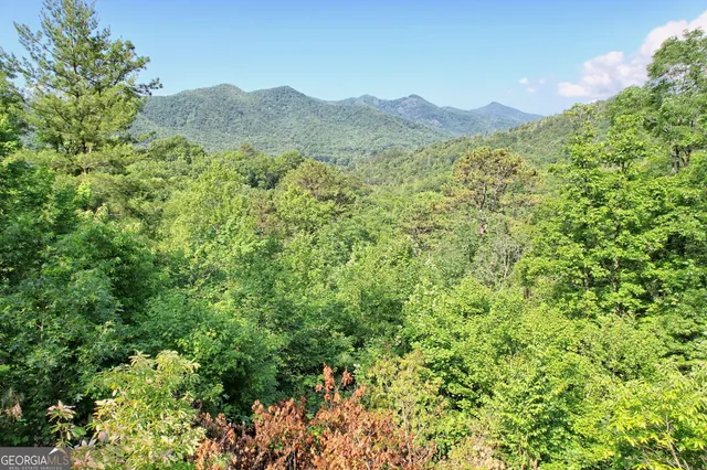 a view of a lush green forest with a mountain in the background