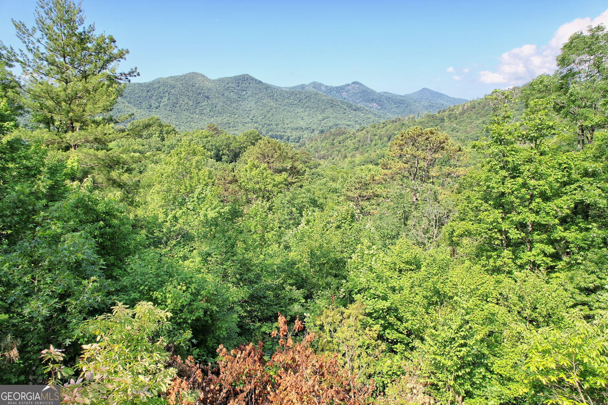 0 Raven Frk Trail Dillard, GA 30537 - Photo 9 of 13 a view of a lush green forest with a mountain in the background