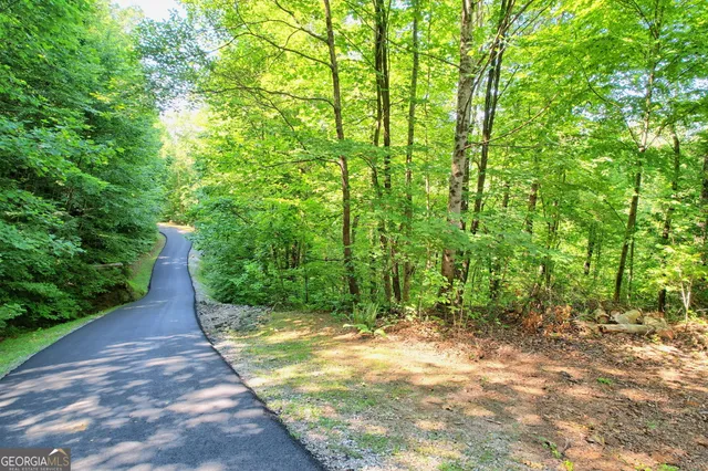 a view of a pathway both side of yard