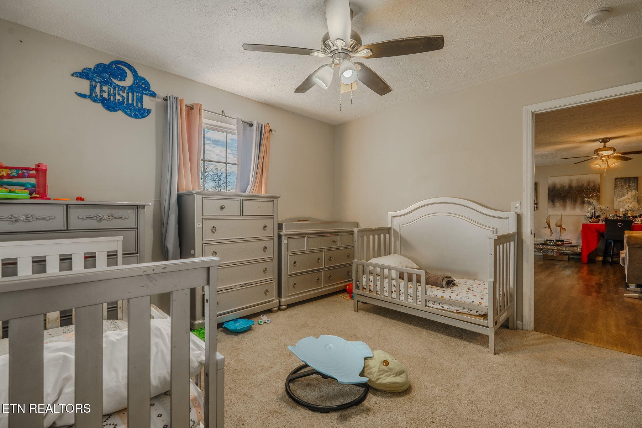 1409 Snapp Road Sevierville, TN 37862 - Photo 4 of 25 Gallery Image 4