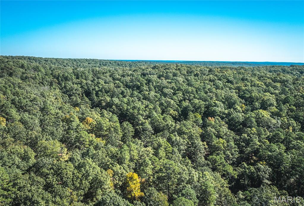 1-13102 Pelican Ridge Road Potosi, MO 63664 - Photo 16 of 99