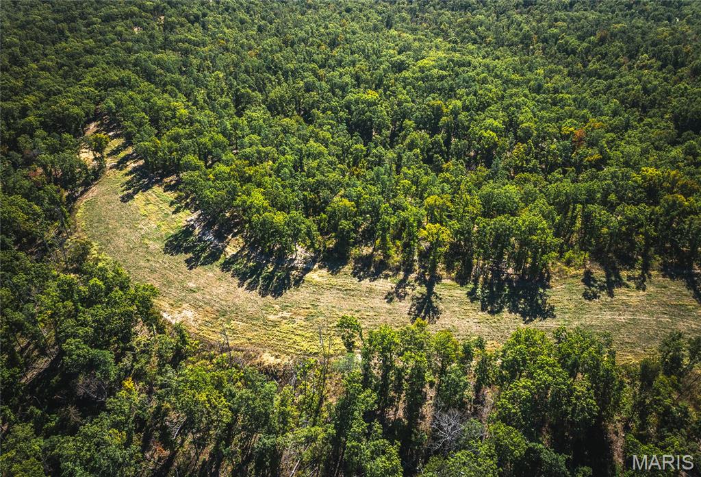 1-13102 Pelican Ridge Road Potosi, MO 63664 - Photo 23 of 99