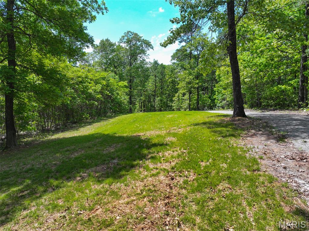 1-13102 Pelican Ridge Road Potosi, MO 63664 - Photo 42 of 99