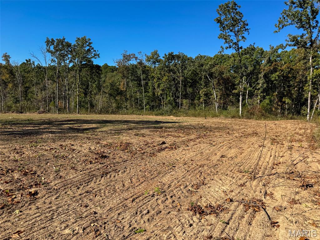 1-13102 Pelican Ridge Road Potosi, MO 63664 - Photo 83 of 99