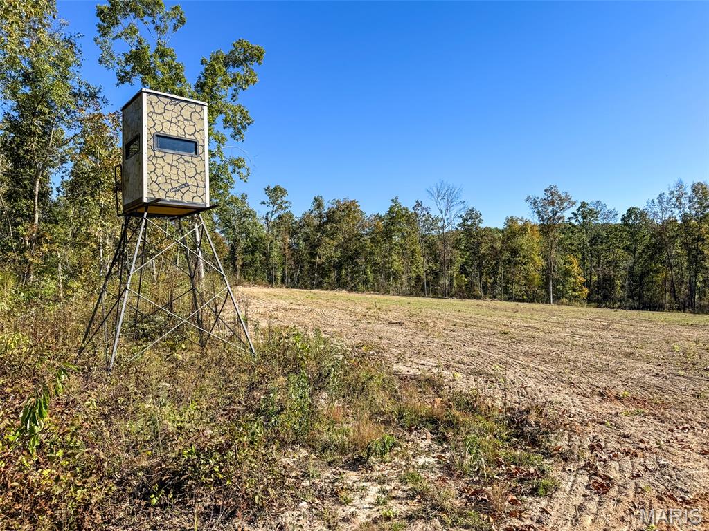 1-13102 Pelican Ridge Road Potosi, MO 63664 - Photo 86 of 99