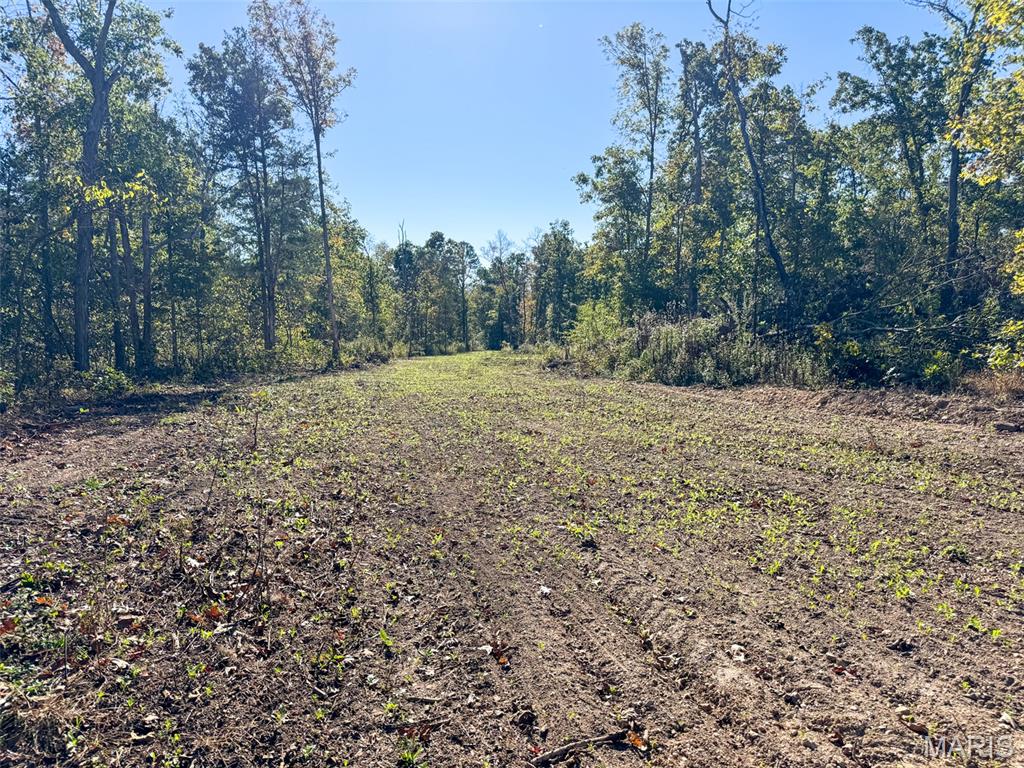 1-13102 Pelican Ridge Road Potosi, MO 63664 - Photo 87 of 99