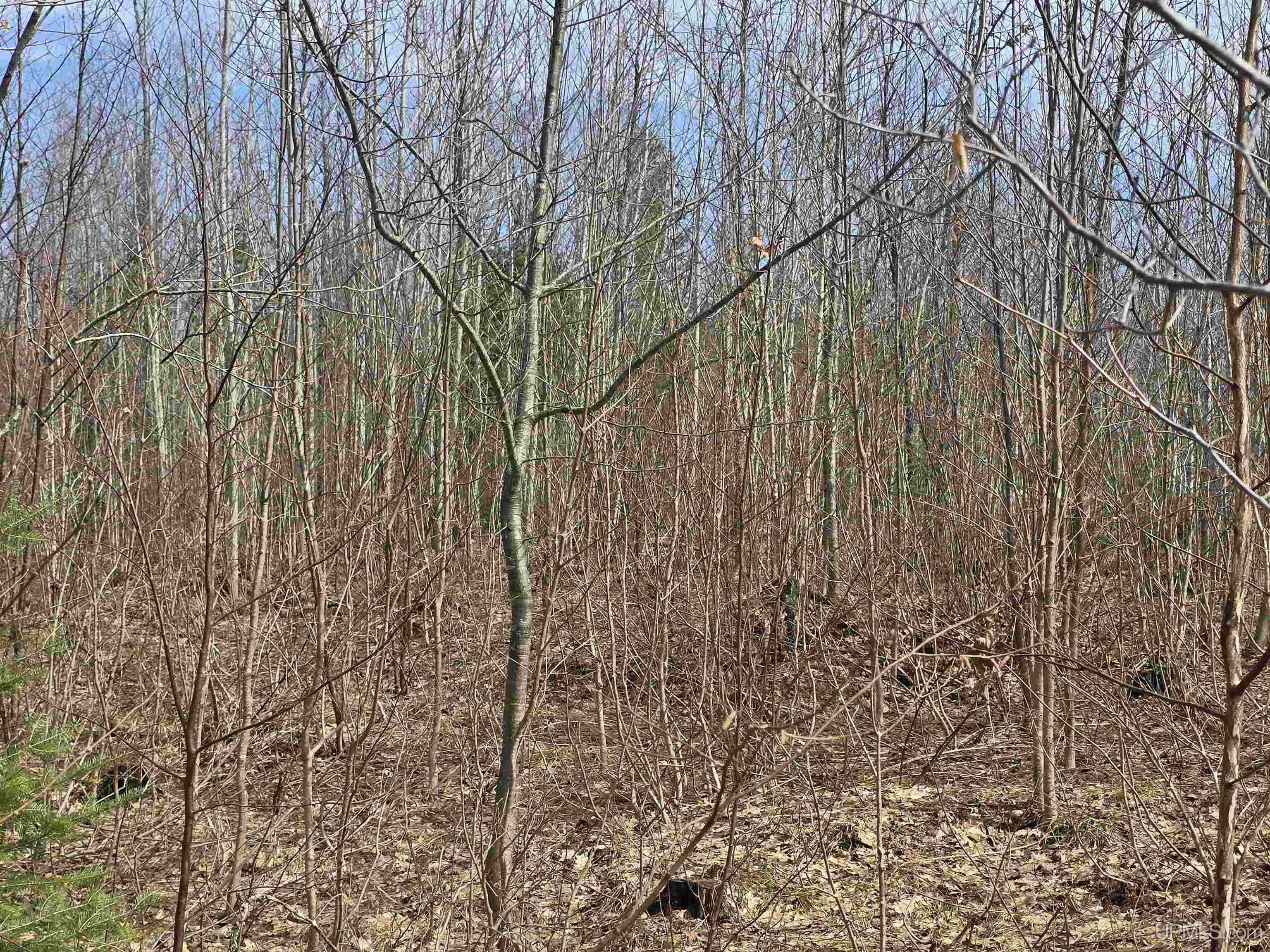 Tbd Woodspur Road Ontonagon, MI 49953 - Photo 43 of 46