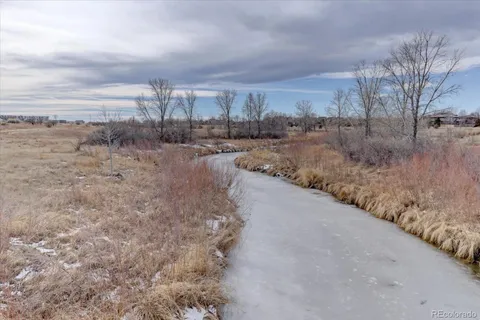 a view of a dry yard with wooden fence