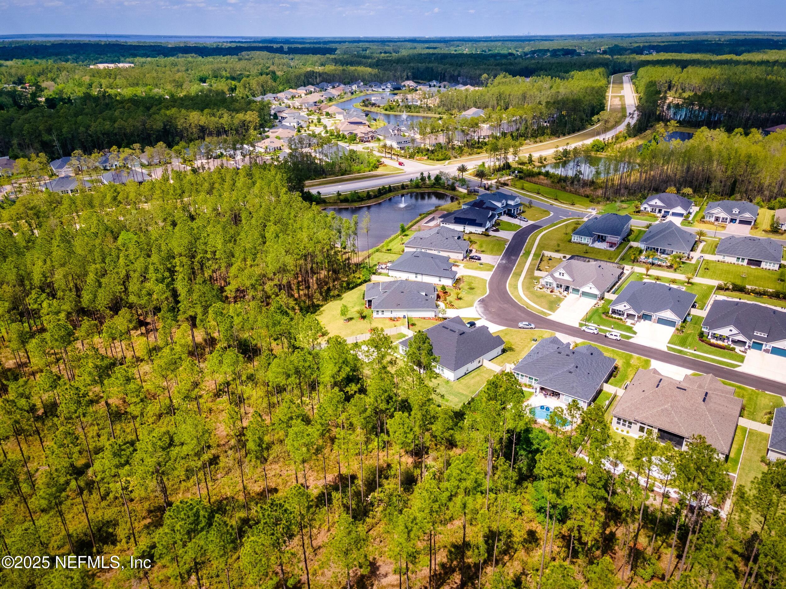 80 Widener Court St. Johns, FL 32259 - Photo 51 of 60 a view of a lake