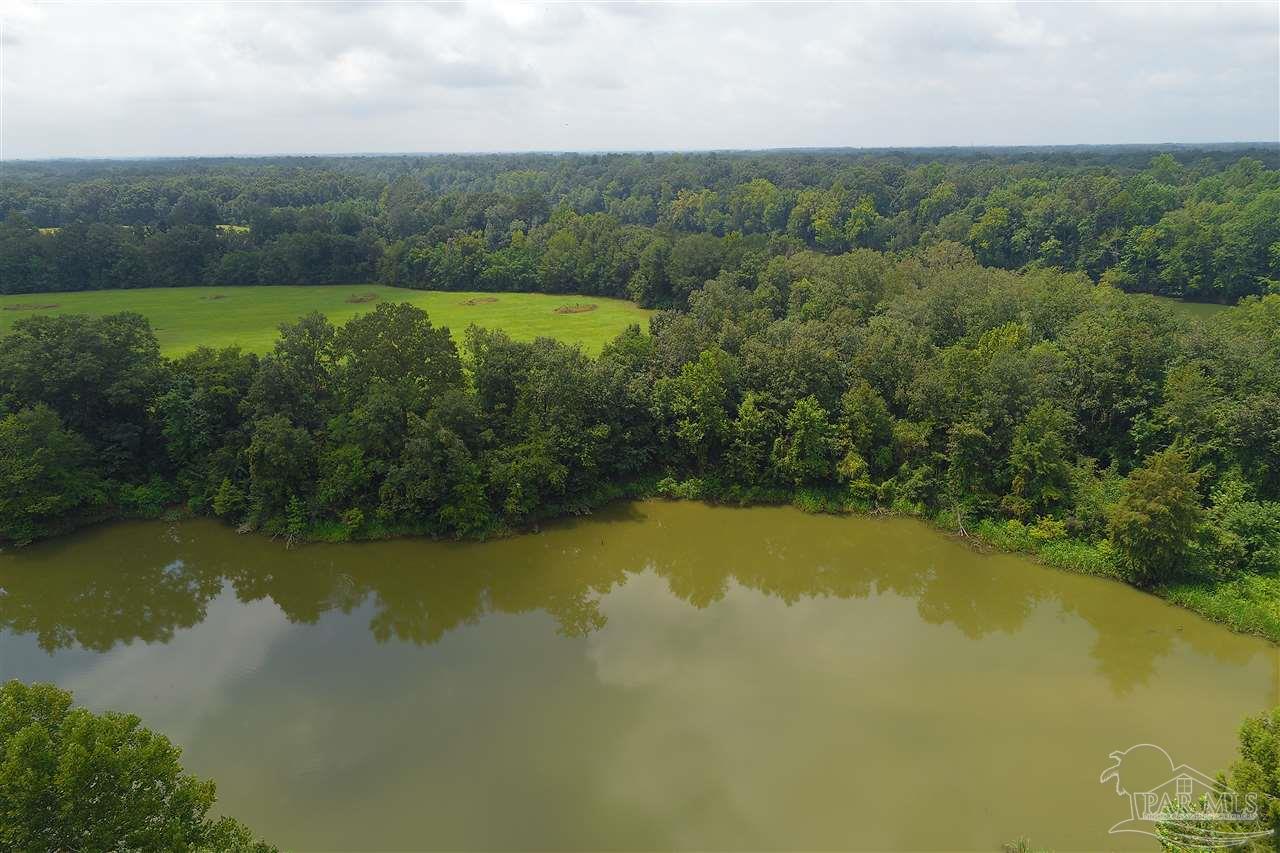 Lot 45-45a Jimmy Phillips Road Greensboro, AL 36744 - Photo 14 of 28 Gallery Image 14