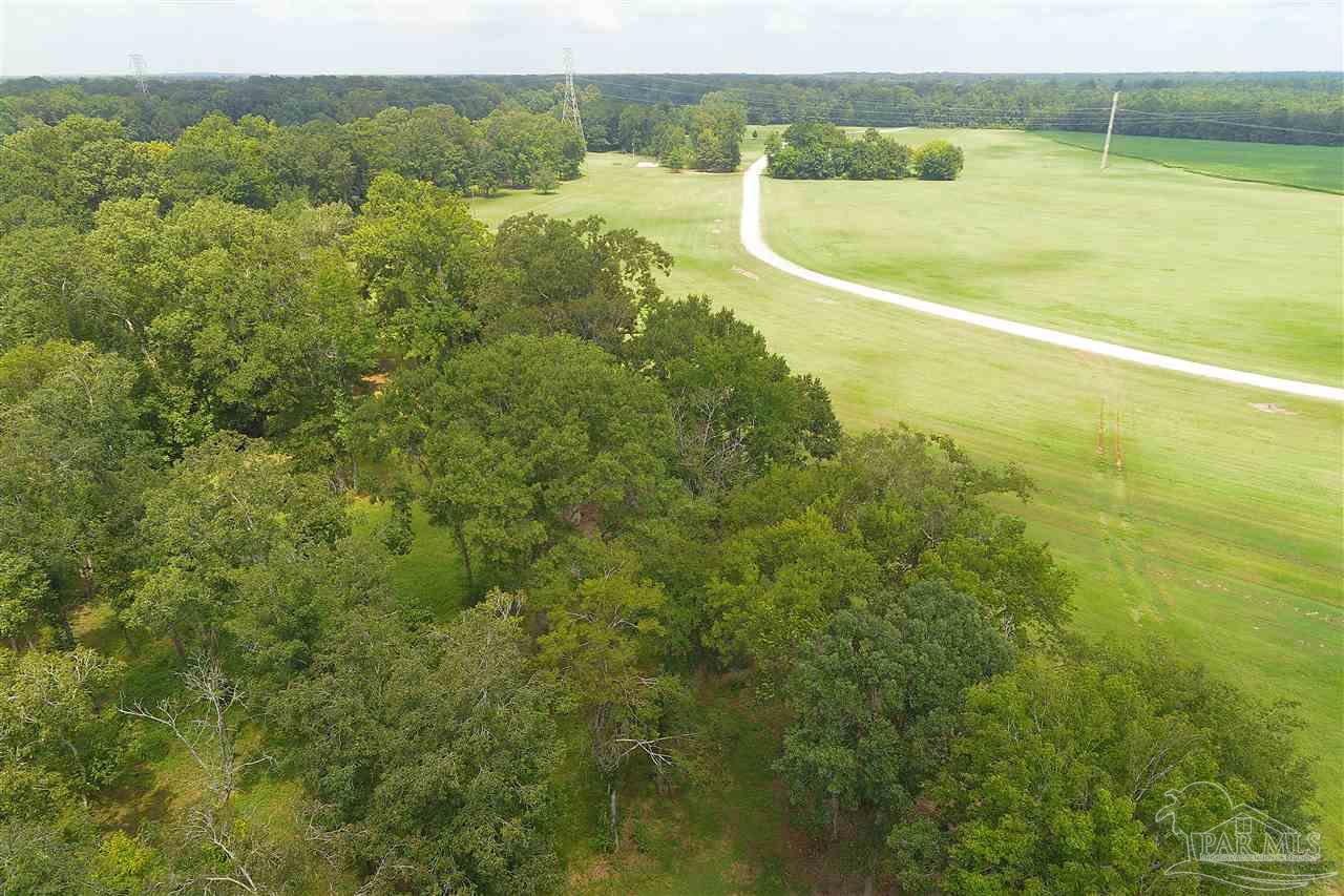 Lot 45-45a Jimmy Phillips Road Greensboro, AL 36744 - Photo 22 of 28 Gallery Image 22