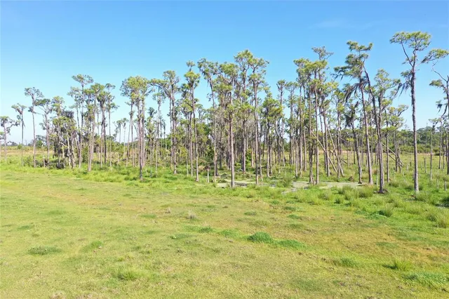 a view of a garden with an outdoor space