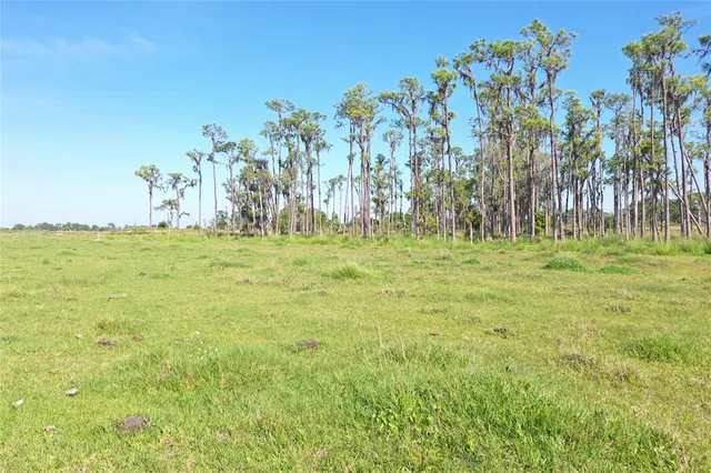 a view of outdoor space with trees all around