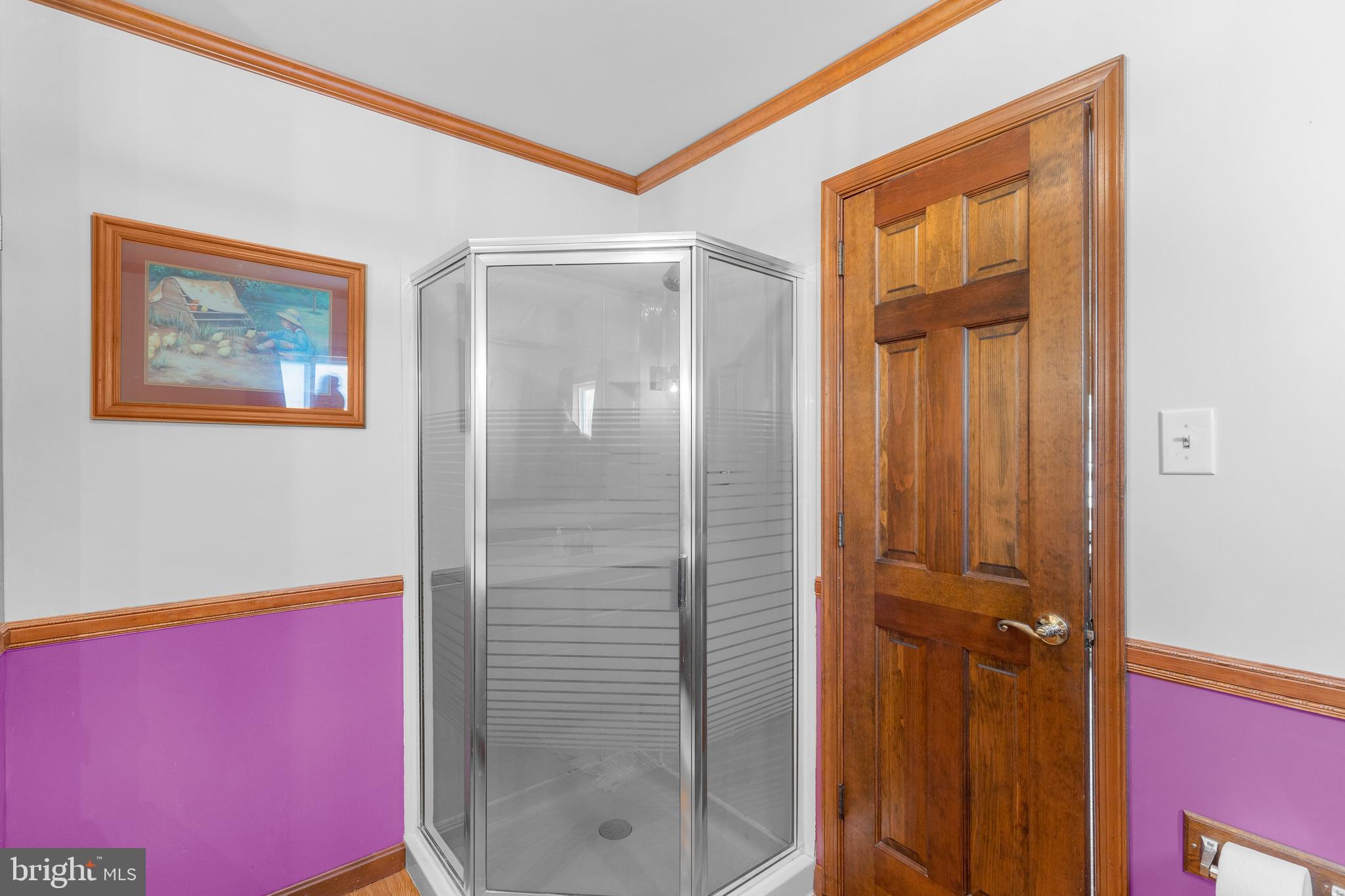 12215 Shadetree Lane Laurel, MD 20708 - Photo 22 of 52 Full Bathroom attached to Game Room/Bedroom