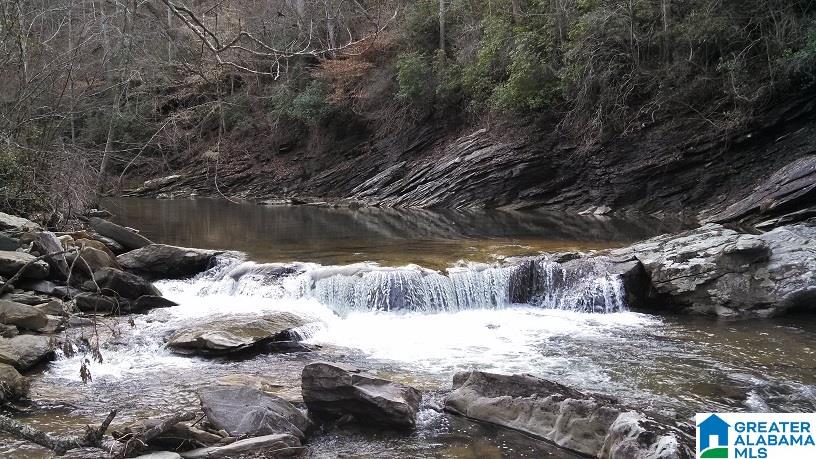Salt Creek Road Munford, AL 36268 - Photo 13 of 13