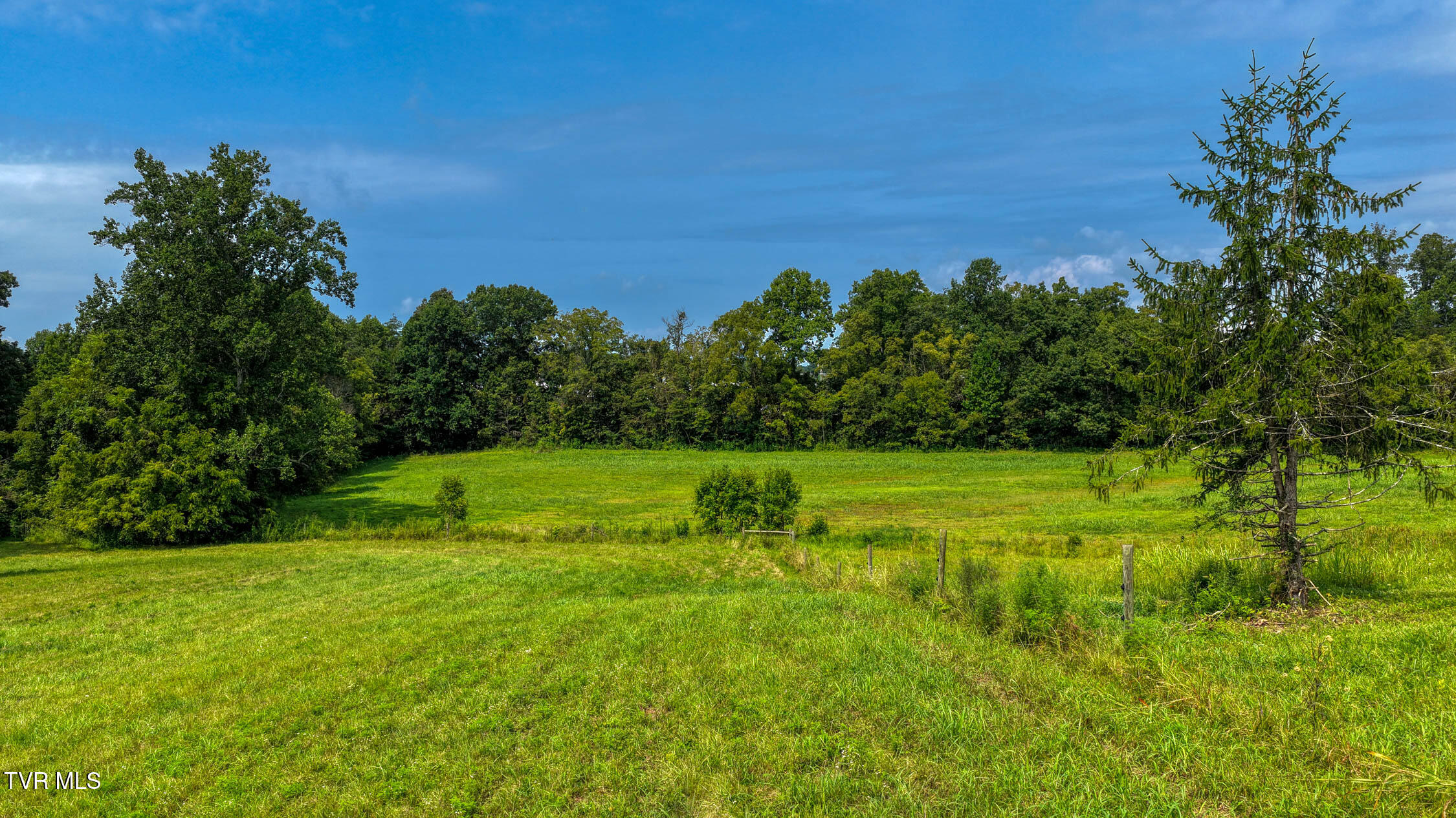 244 Summit Hill Road Bulls Gap, TN 37711 - Photo 43 of 91 244 Sumit Hill. BG MLSa (15 of 65)